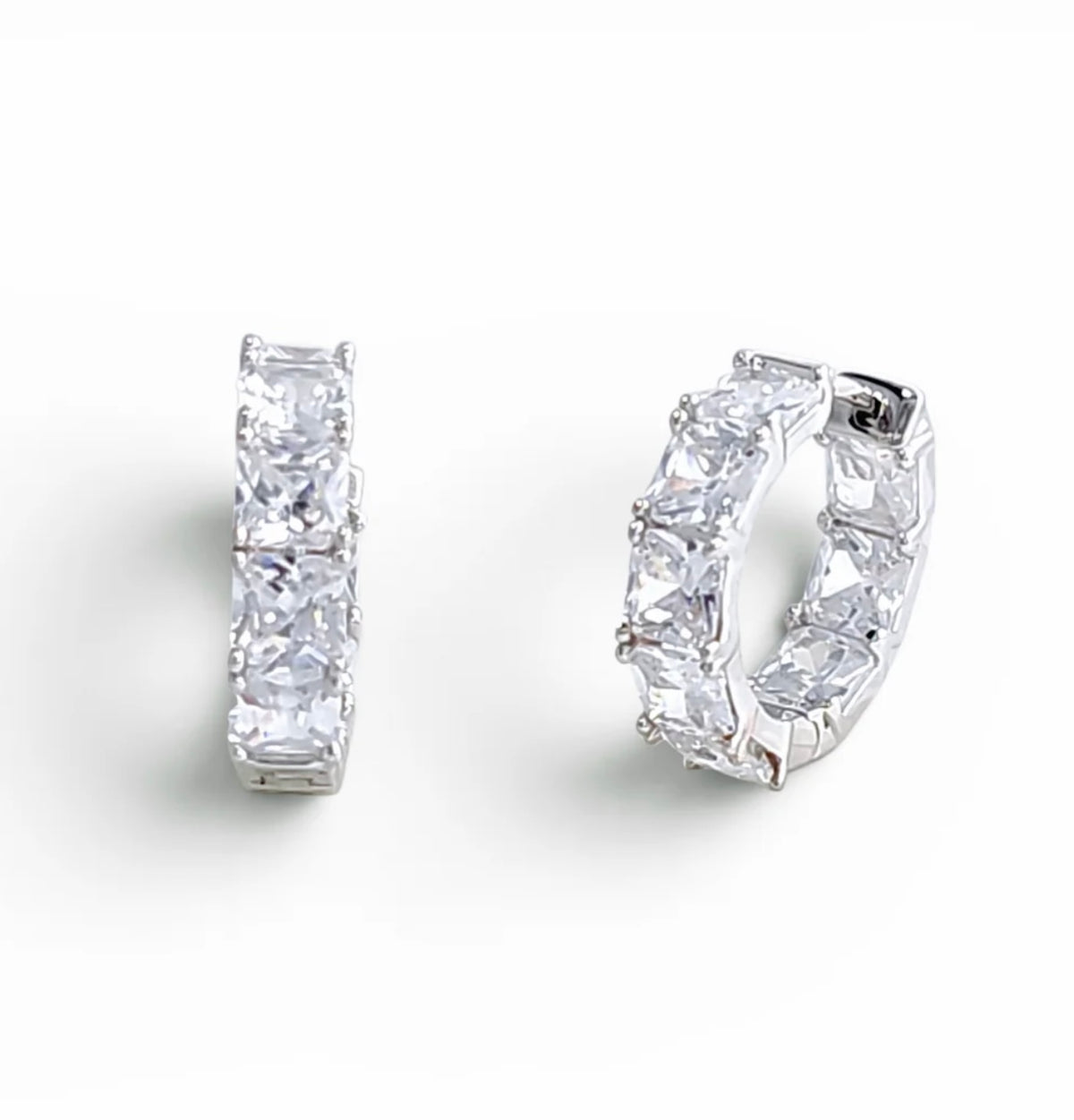 Ludmia Earrings