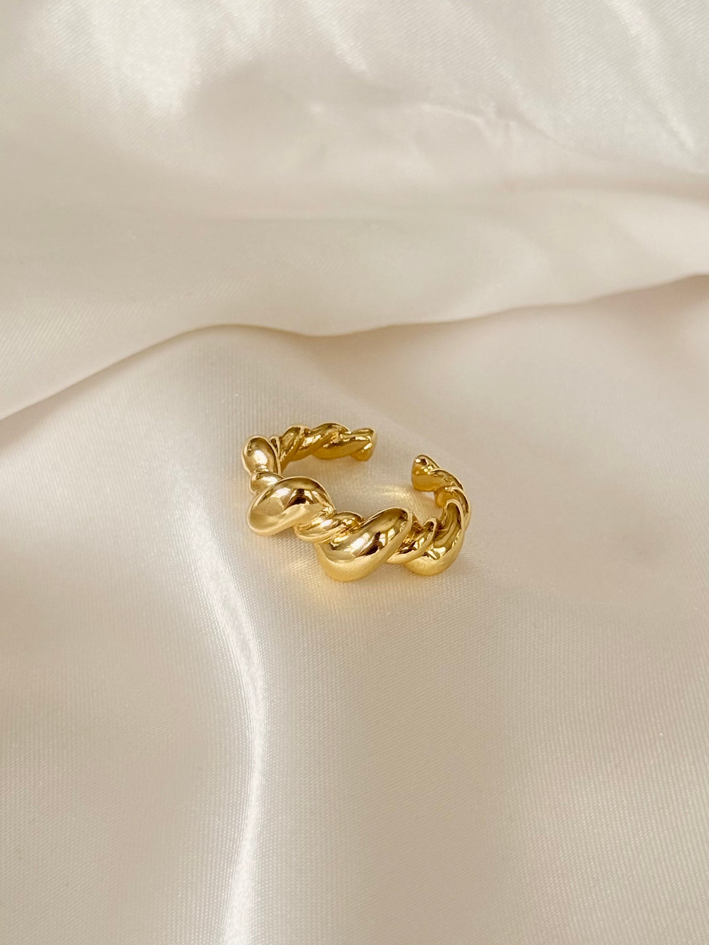 Tina Ring
