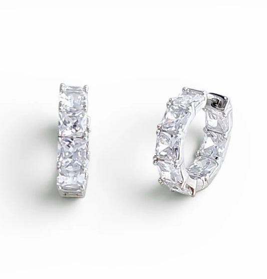 Ludmia  Earrings